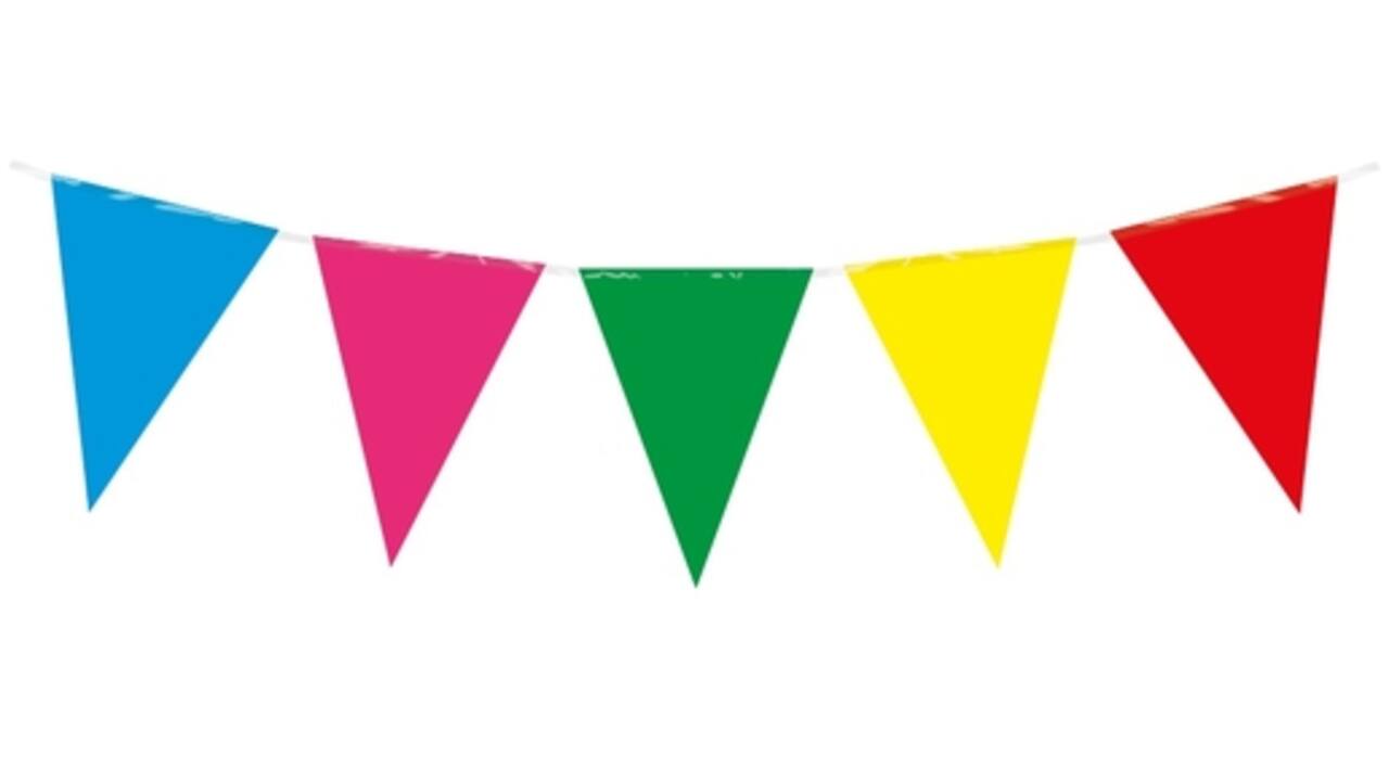 Party Flag PE Multi Colour