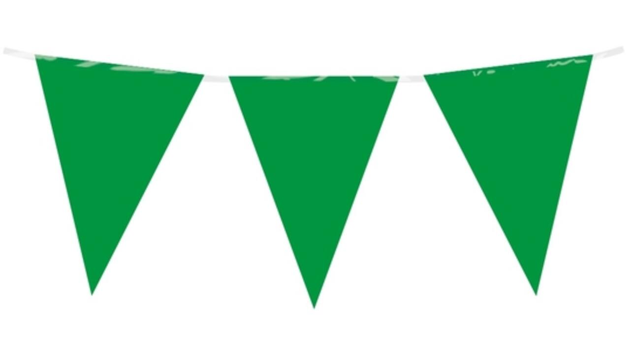 Party Flag PE Green