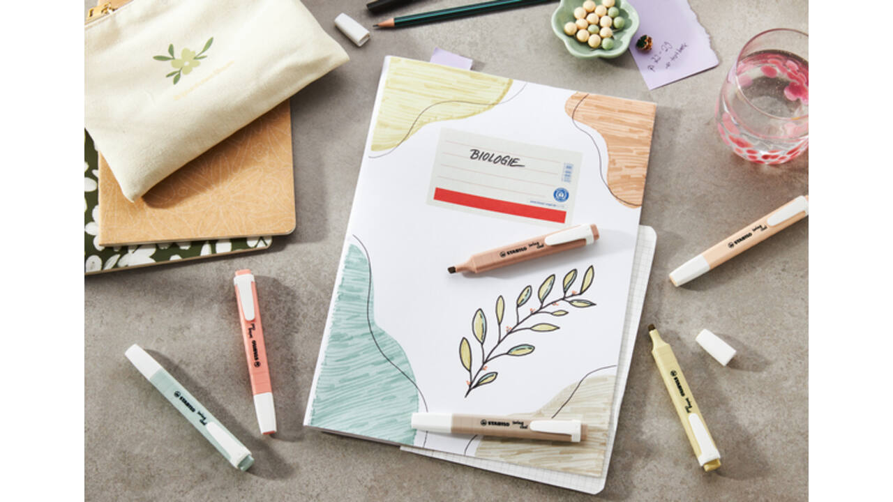 Markeerstift STABILO Swing cool nature colors warmgrijs