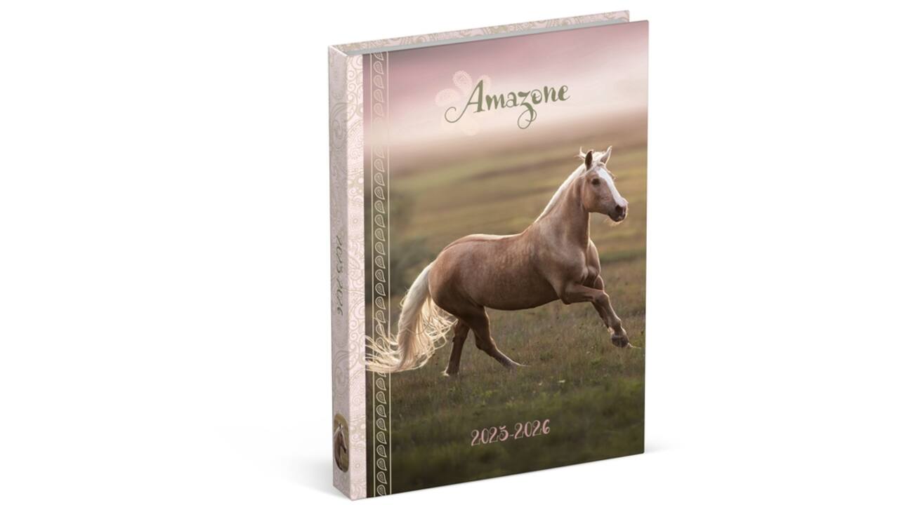 Schoolagenda 25-26 Lannoo Horses 1dag/1pagina roze