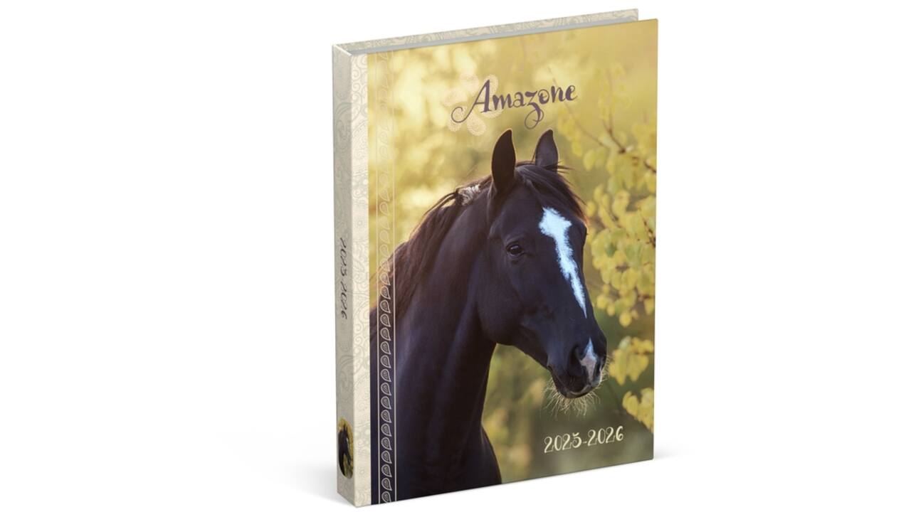 Schoolagenda 25-26 Lannoo Horses 1dag/1pagina geel