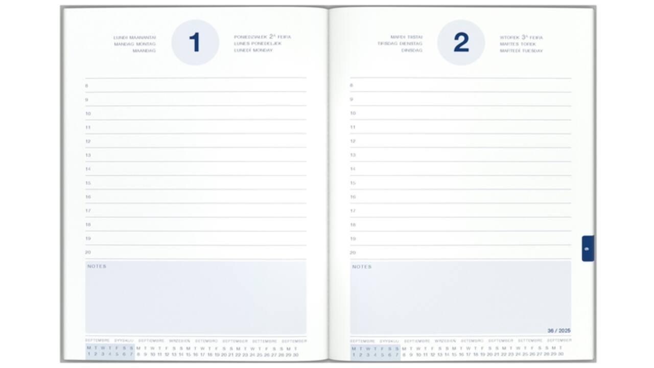 Schoolagenda 25-26 Lannoo Cats 1dag/1pagina roze