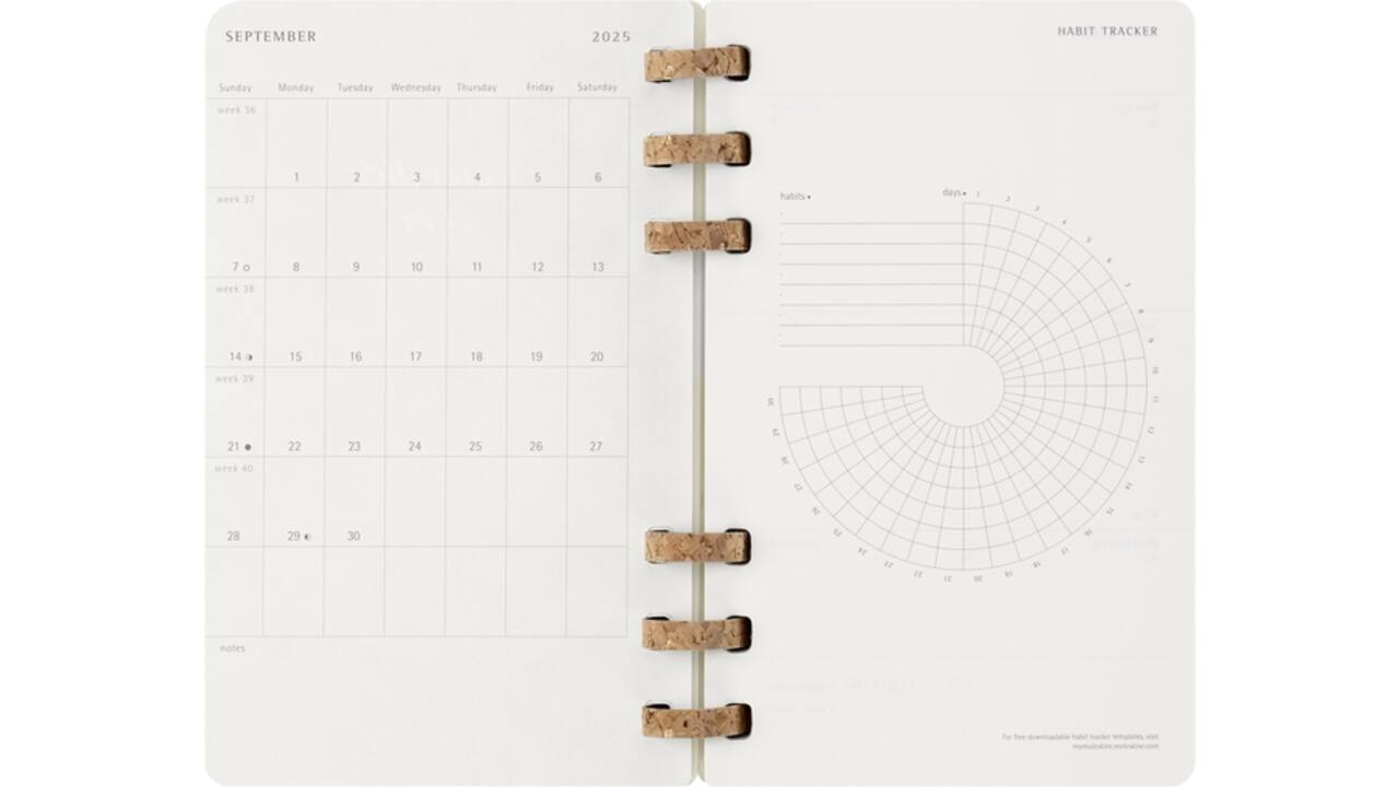 Agenda 2025/2026 Moleskine 12M Academic Weekly 7dagen/1pagina Myrtle large sc black