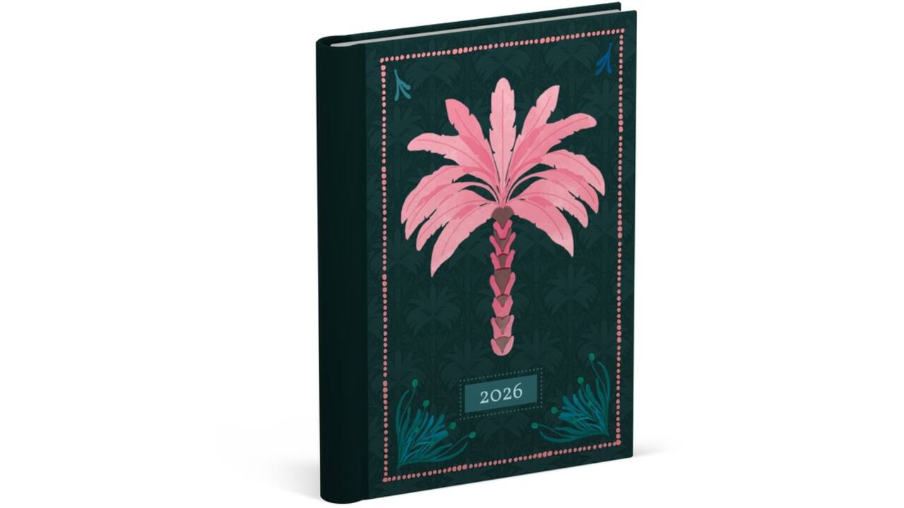 Agenda 2026 Lannoo 120x160 Exotic palms 7dagen/2pagina's zwart