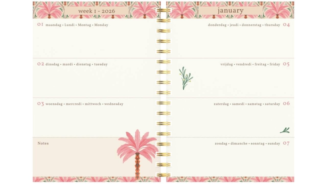 Agenda 2026 Lannoo 120x160 Exotic palms 7dagen/2pagina's zwart