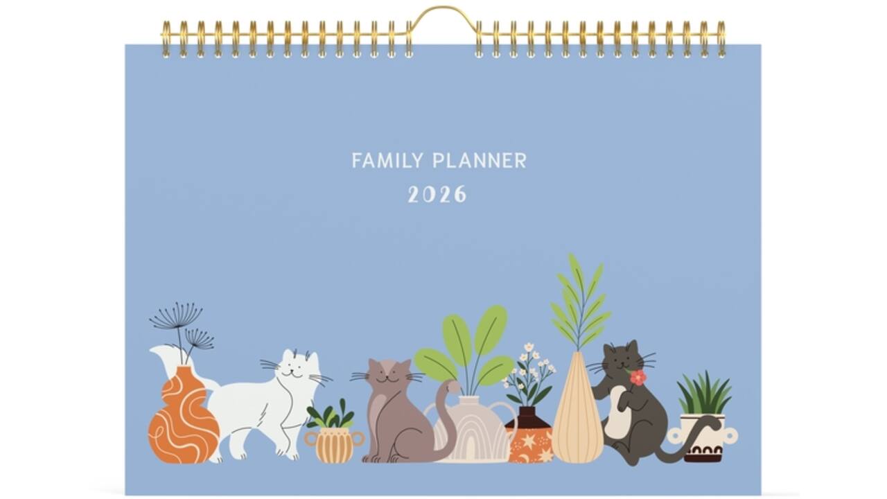 Familiekalender 2026 Lannoo 310x220 Cats 7dagen/1pagina