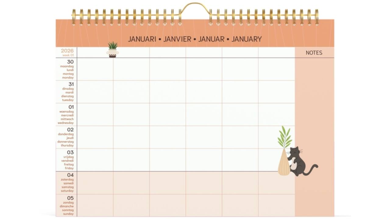 Familiekalender 2026 Lannoo 310x220 Cats 7dagen/1pagina