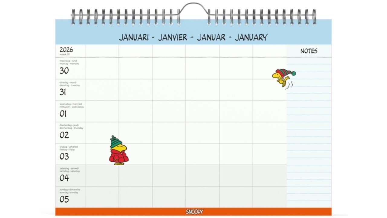 Familiekalender 2026 Lannoo 310x220 Peanuts 7dagen/1pagina