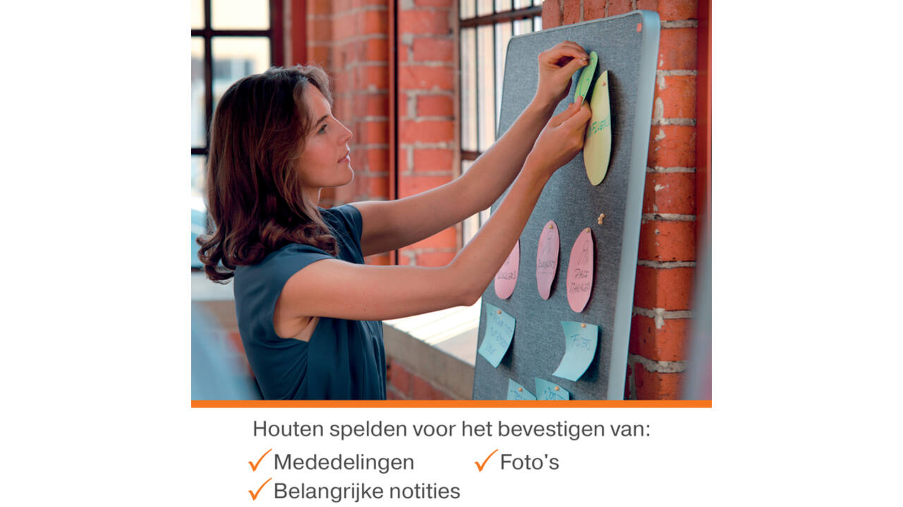 Punaises Nobo hout voor memobord 40 stuks