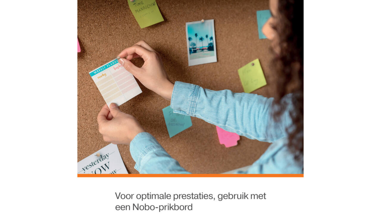 Punaises Nobo hout voor memobord 40 stuks