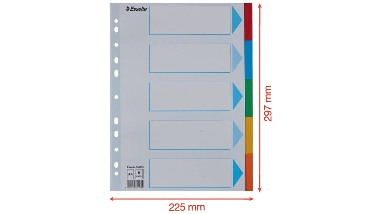 Tabbladen Esselte Standaard A4 5-delig karton 11-rings met voorblad assorti