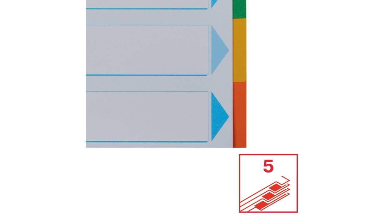 Tabbladen Esselte Standaard A4 5-delig karton 11-rings met voorblad assorti