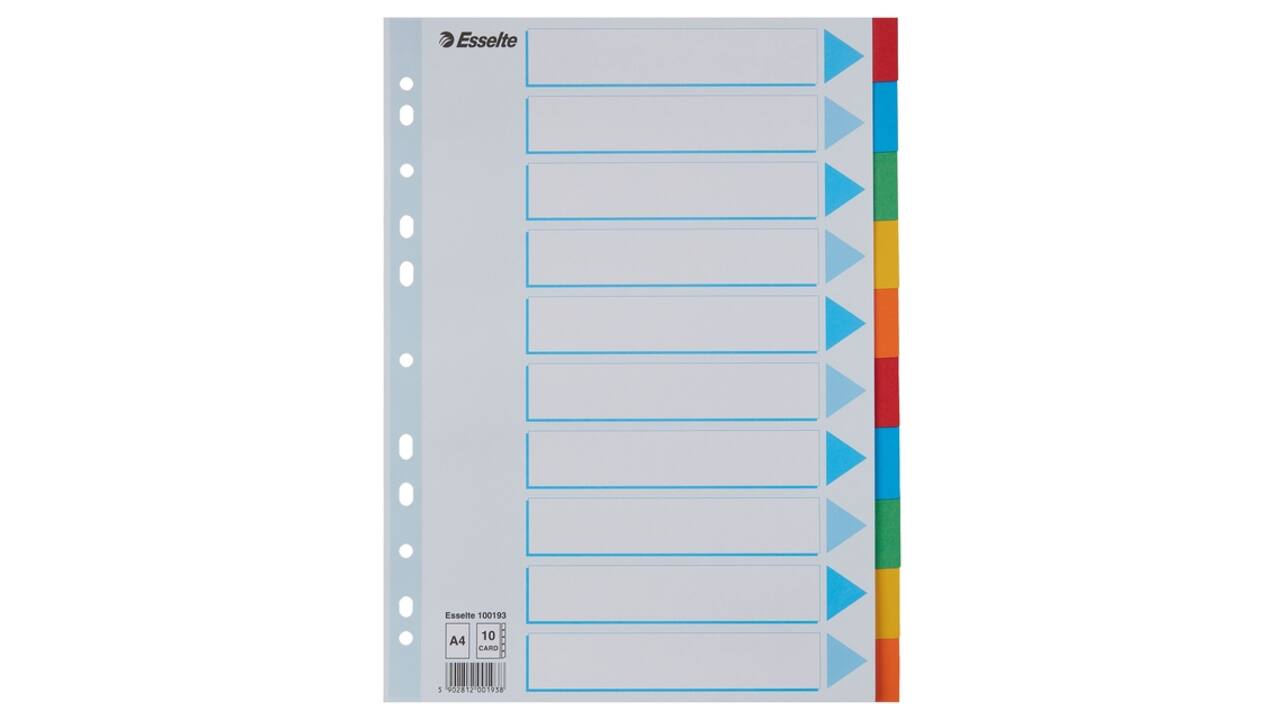 Tabbladen Esselte Standaard A4 10-delig karton 11-rings met voorblad assorti