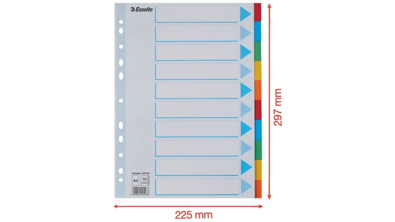 Tabbladen Esselte Standaard A4 10-delig karton 11-rings met voorblad assorti