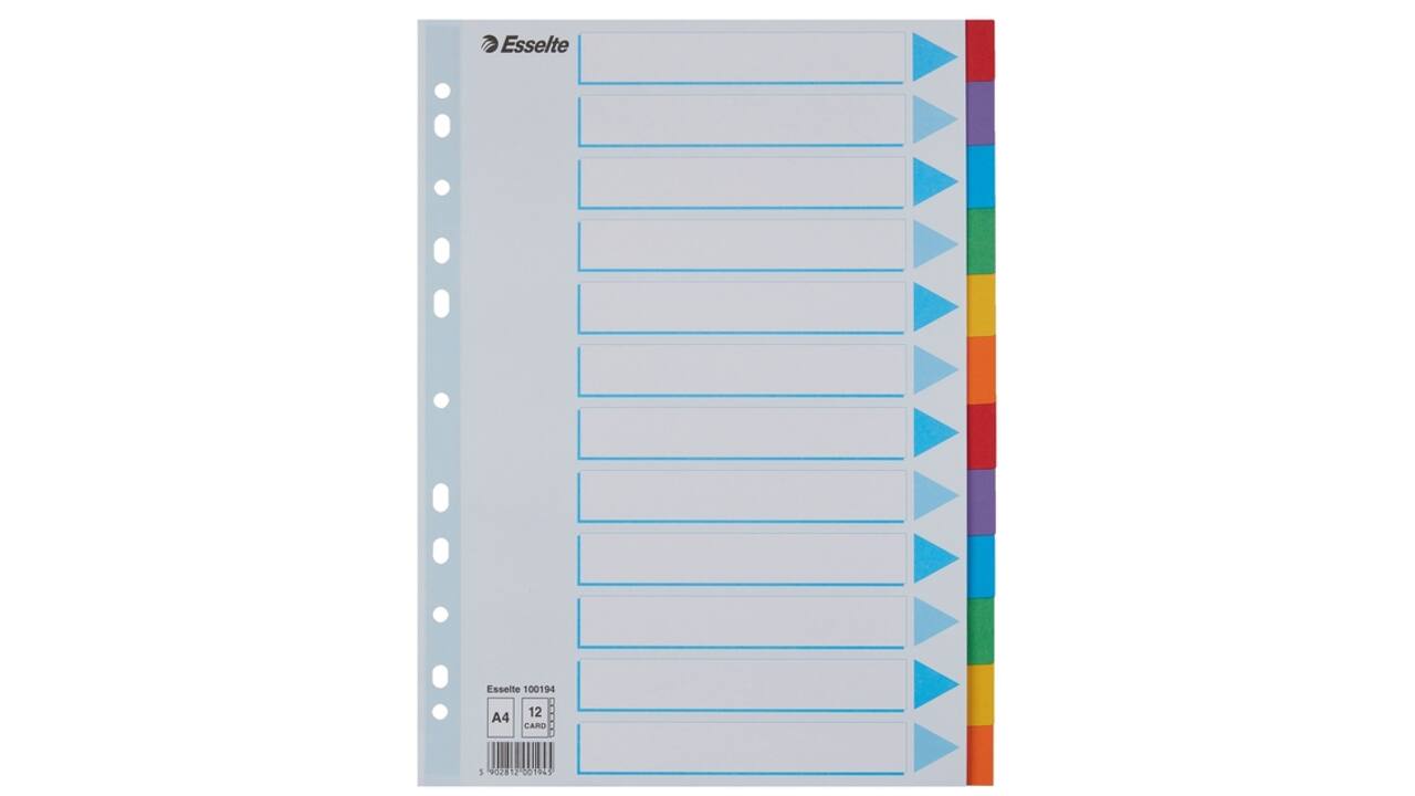 Tabbladen Esselte Standaard A4 12-delig karton 11-rings met voorblad assorti