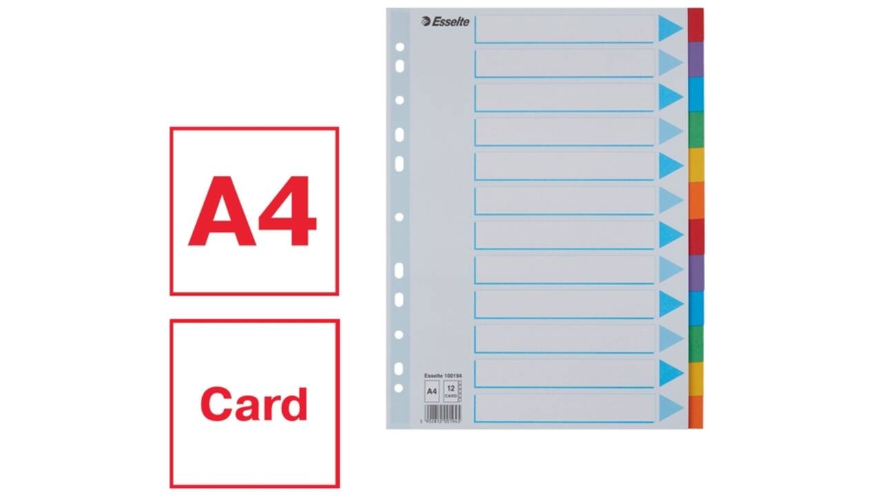 Tabbladen Esselte Standaard A4 12-delig karton 11-rings met voorblad assorti