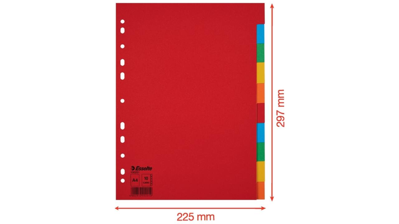 Tabbladen Esselte Economy A4 10-delig karton 11-rings assorti