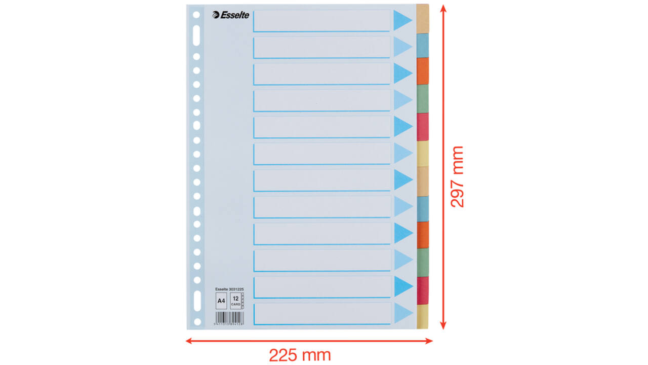 Tabbladen Esselte Premium A4 12-delig karton 23-rings assorti