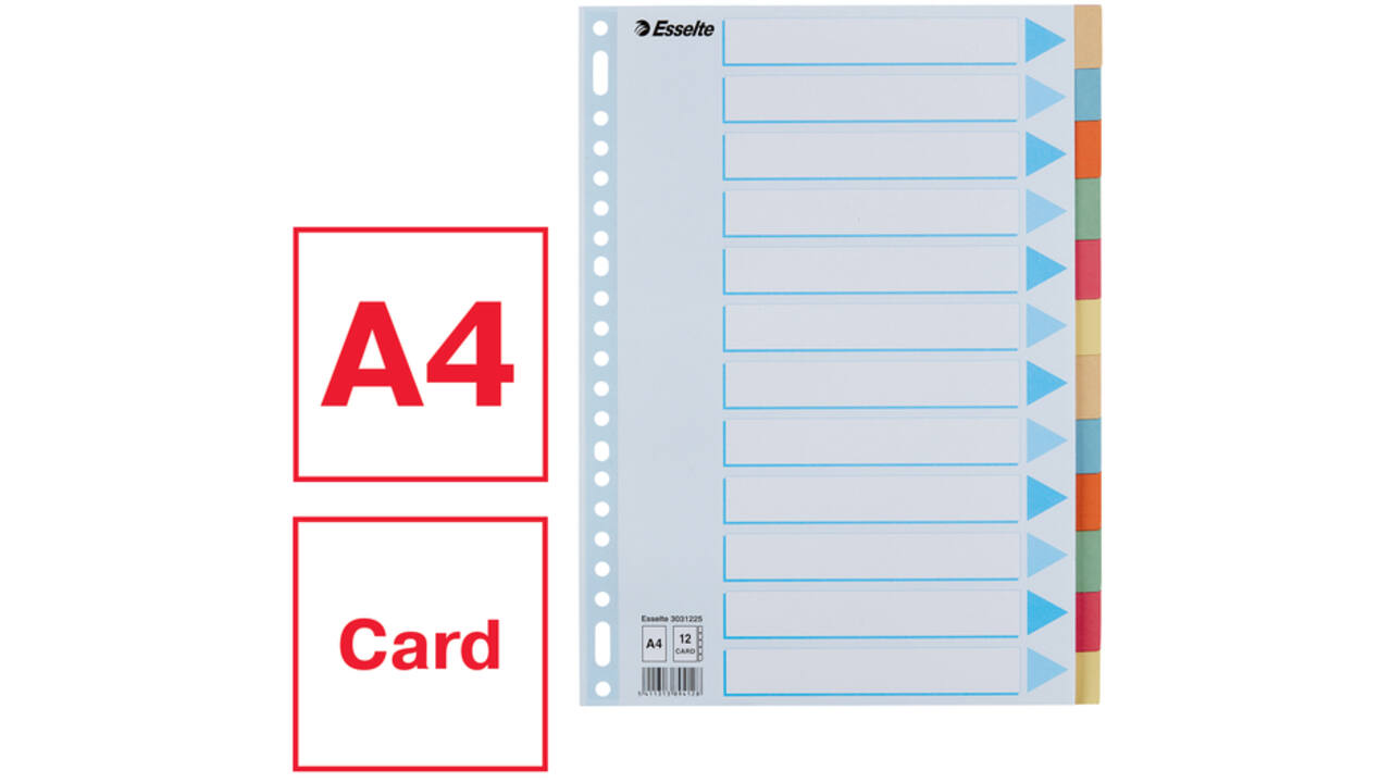 Tabbladen Esselte Premium A4 12-delig karton 23-rings assorti