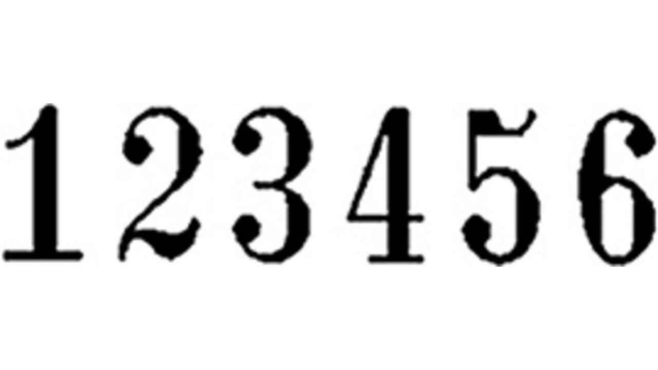 Numeroteur Reiner B6K 13053 6 cijfers 4.5mm kunststof