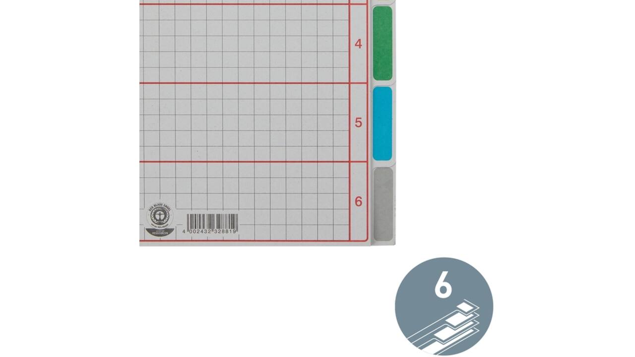 Tabbladen Leitz 4-gaats 4350 6-delig grijs karton