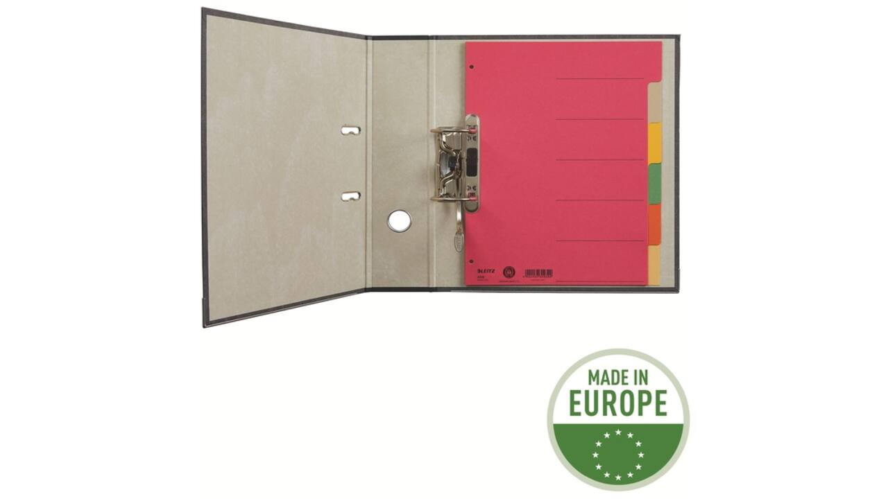 Tabbladen Leitz 4-gaats 4350 6-delig grijs karton