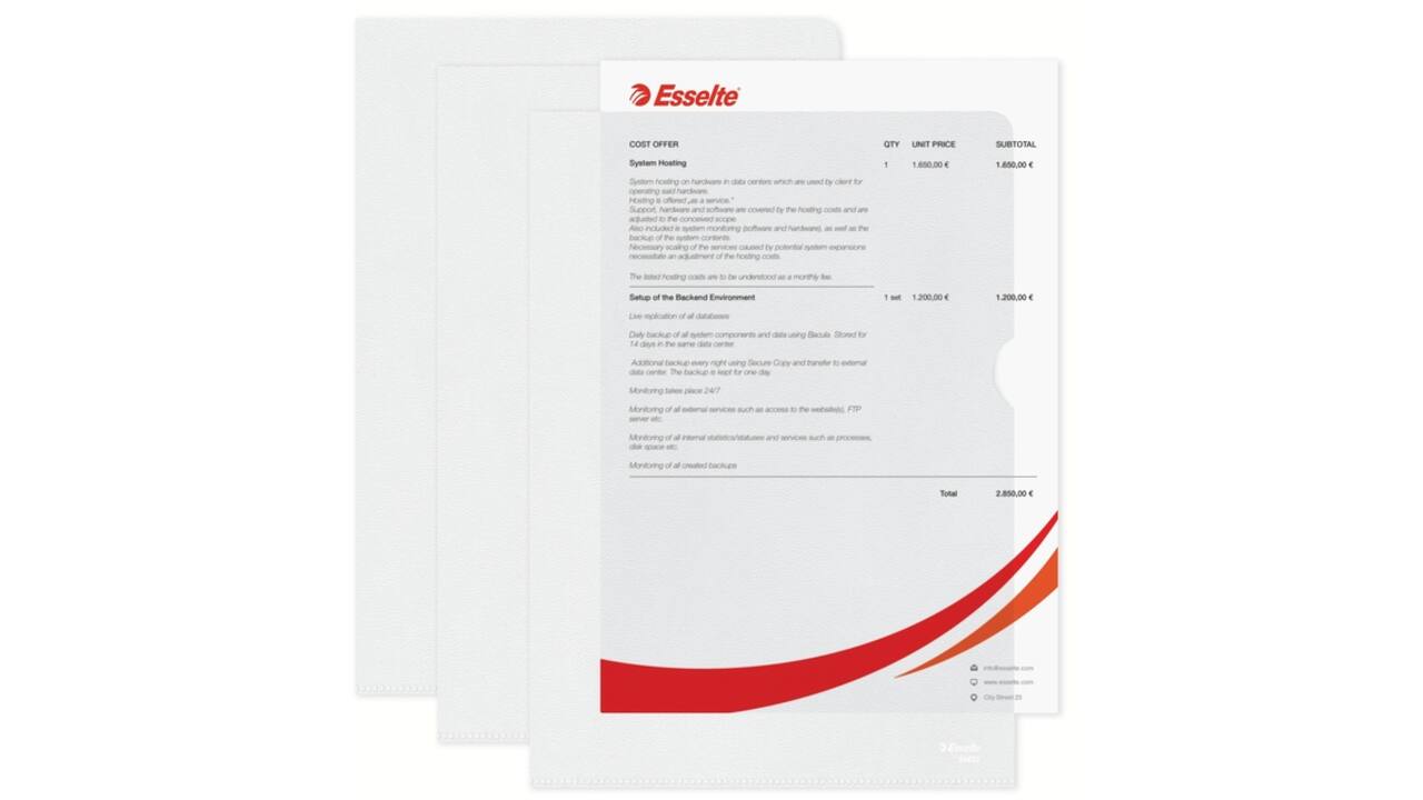Insteekmap L-model Esselte standaard copy safe PP A4 transparant 100 stuks