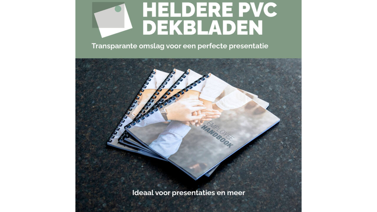 Voorblad Fellowes A4 PVC 300micron 100stuks