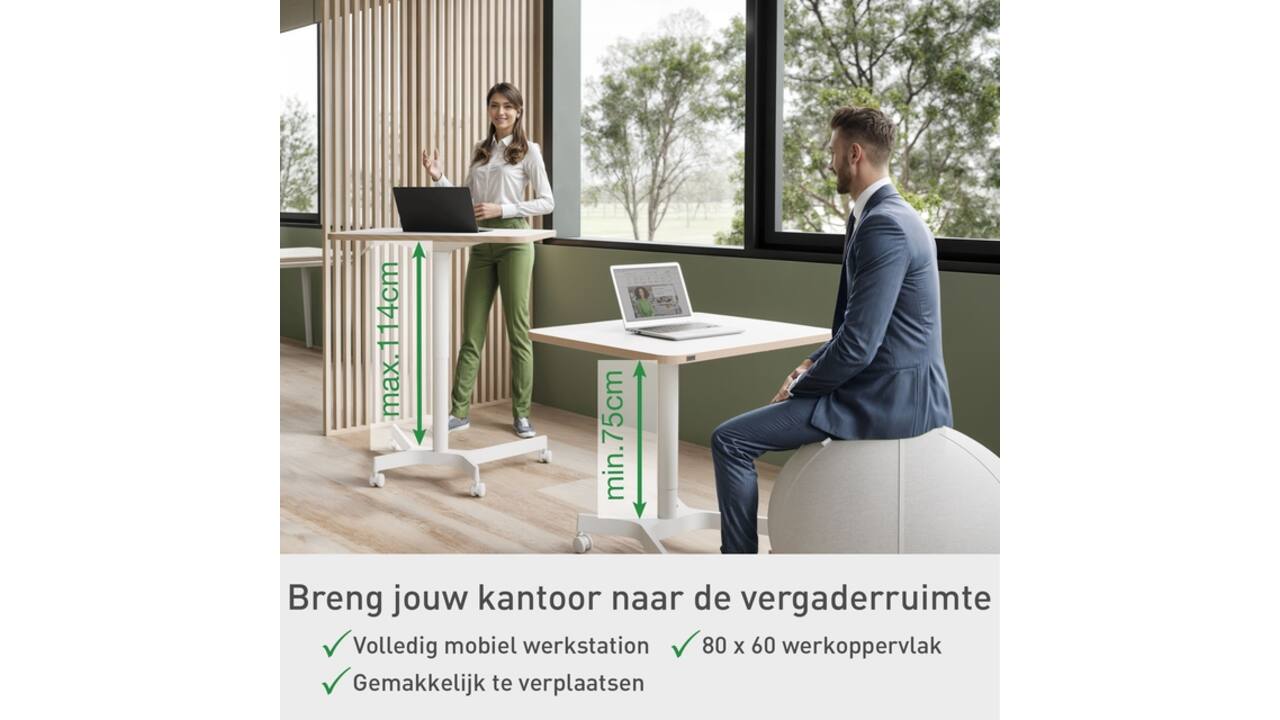 Zit-Sta bureau Leitz Ergo compact