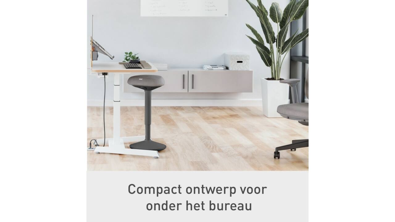 Actieve stakruk Leitz Ergo met comfortzitting