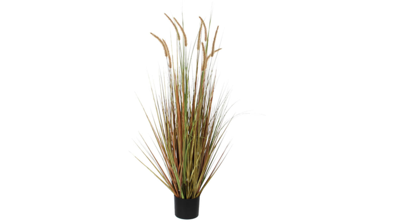 Kunst Pluimgras Dogtail 120cm groen