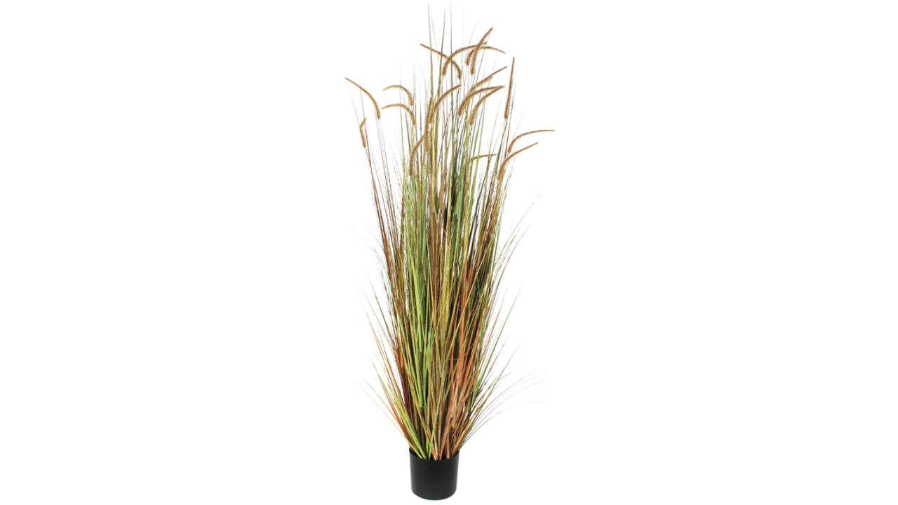 Kunst Pluimgras Dogtail 180cm groen