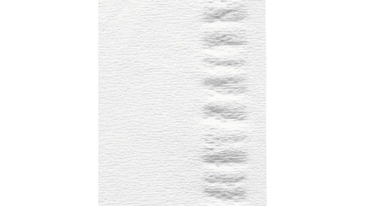 Facial tissues Satino Prestige 2-laags 100vel wit 206450