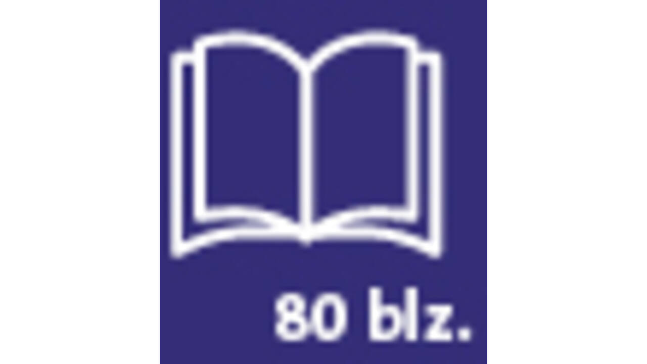 Schrift Qbasic A4 ruit 5mm 80blz 70gr assorti