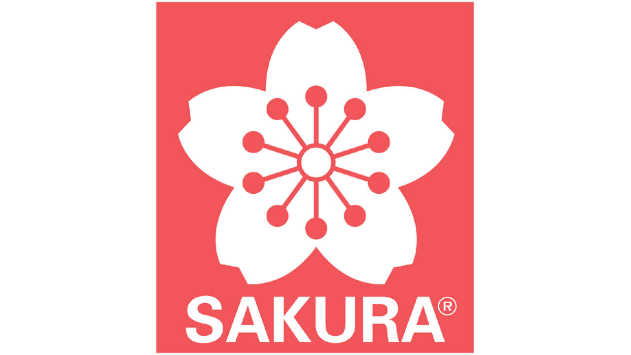 Kalligrafiepennen set Sakura Pigma 3 breedtes zwart