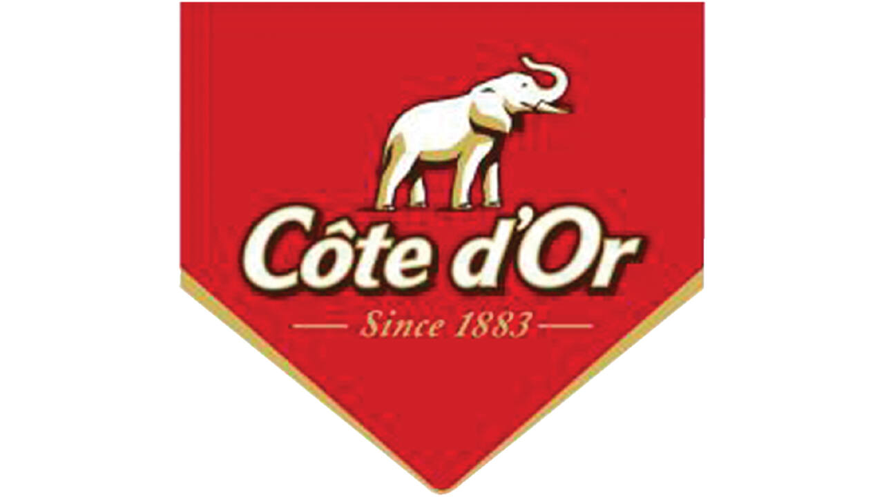 Chocolade Cote d'Or mignonnette melk 120x10 gram