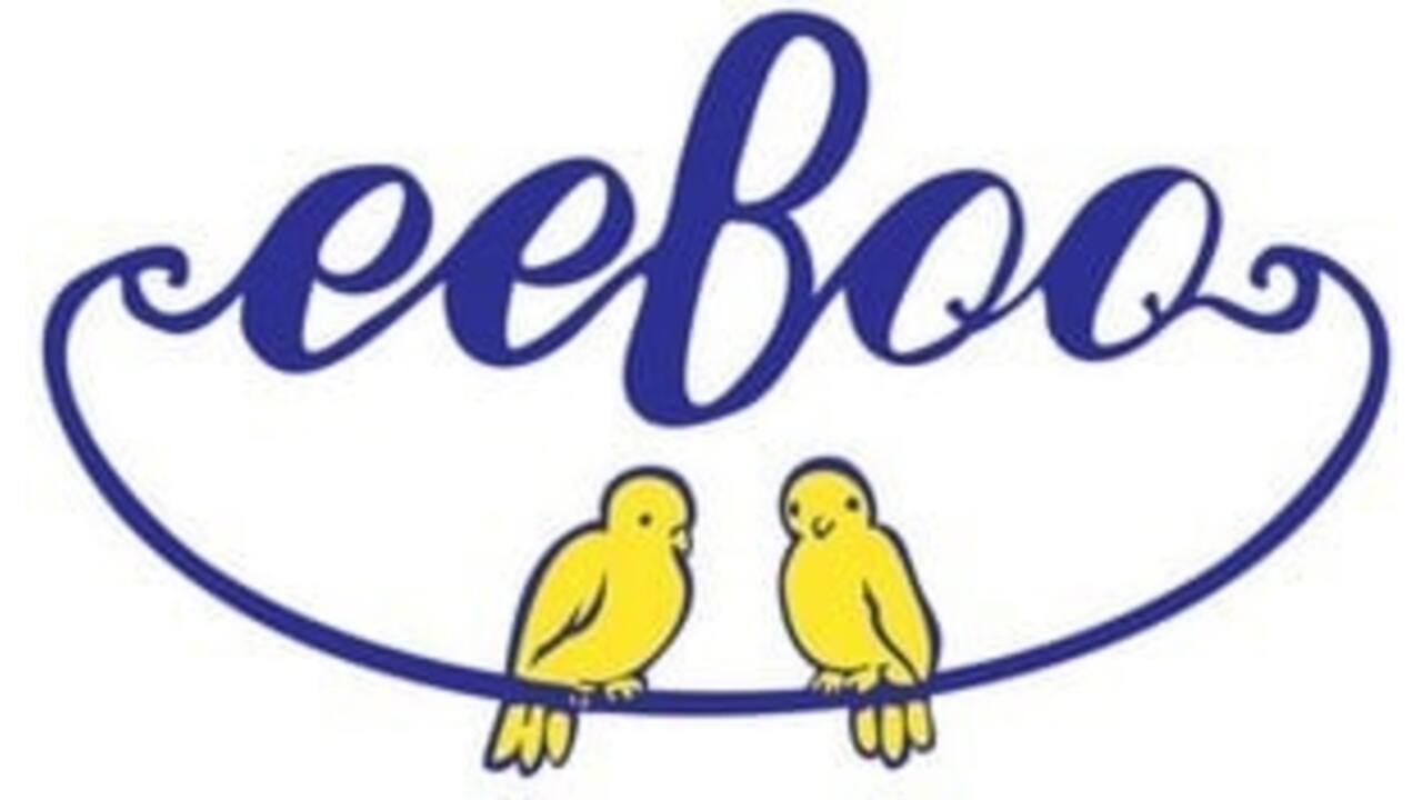 Puzzel Eeboo Birds & Flowers 500st