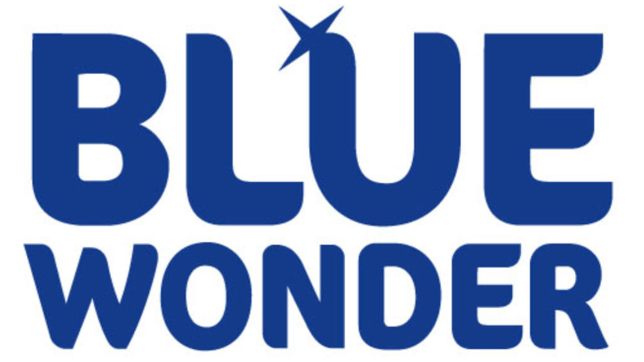 Allesreiniger Blue Wonder met dop dosering 750ml