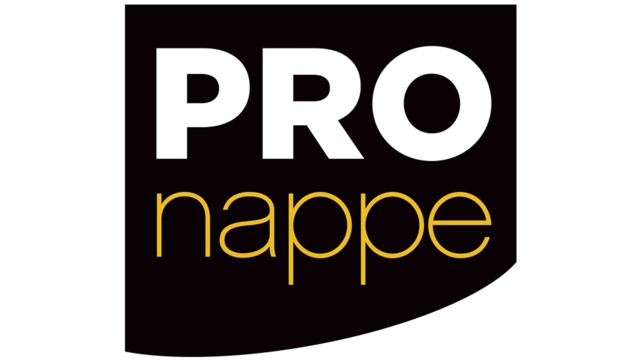 Servet Pronappe 1/4 vouw 2-laags 380x380mm 40 vel wit