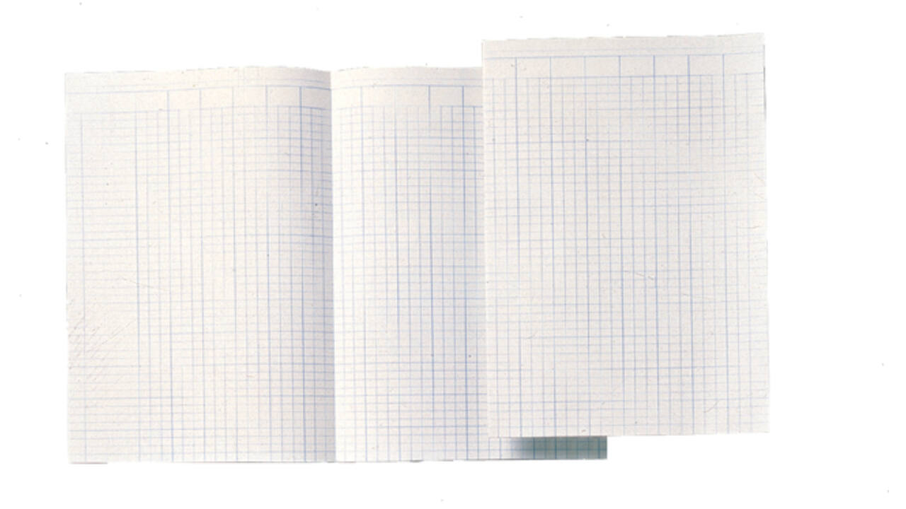 Accountantspapier Djois Atlanta folio 14 kolommen 100vel
