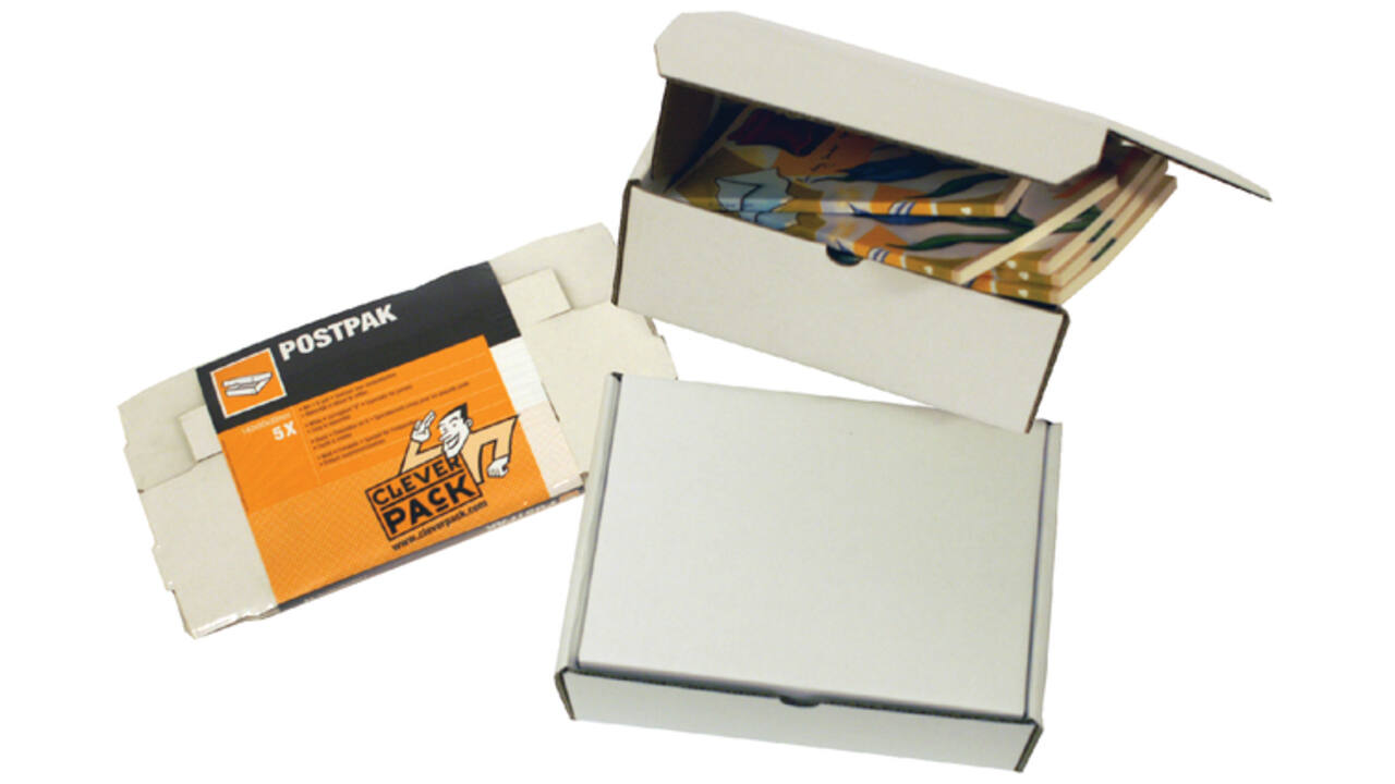 Postpakket CleverPack golfkarton 220x160x90mm wit pak à 5 stuks