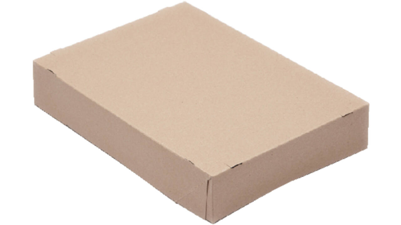 Paraatdoos CleverPack A4 305x218x55mm voor 500 vel bruin pak à 10 stuks