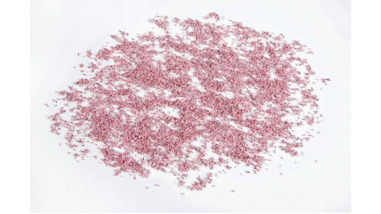 Papiervernietiger IDEAL 4005 snippers 0.8x5mm