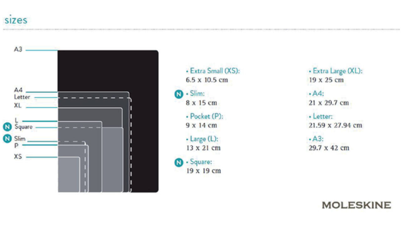 Notitieboek Moleskine large 130x210mm lijn hard cover zwart