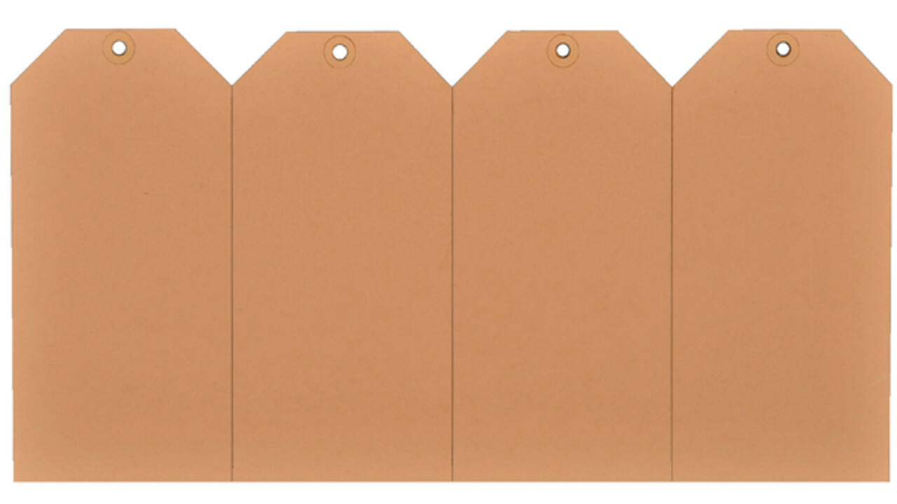 Label karton nr5 200gr 55x110mm chamois 1000stuks