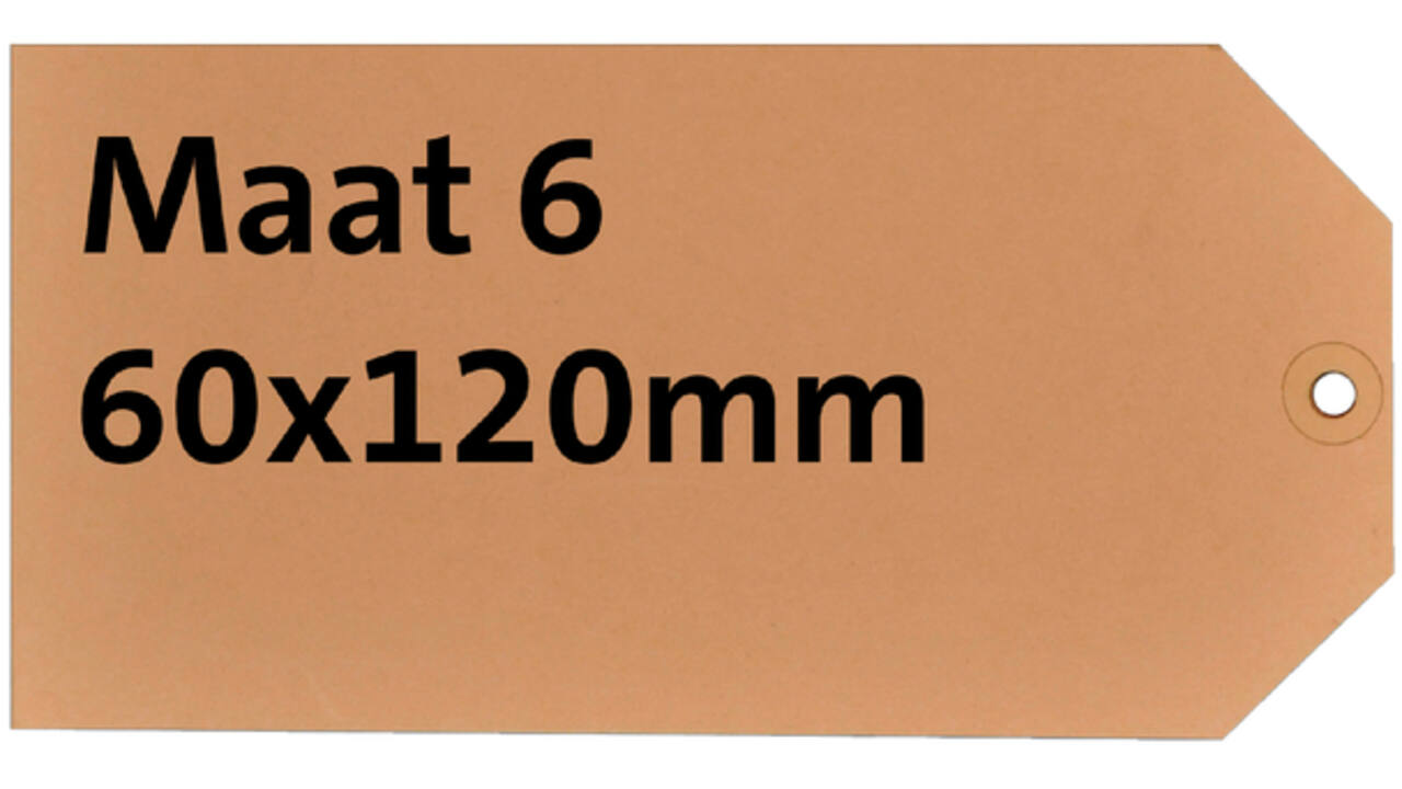 Label karton nr6 200gr 60x120mm chamois 1000stuks