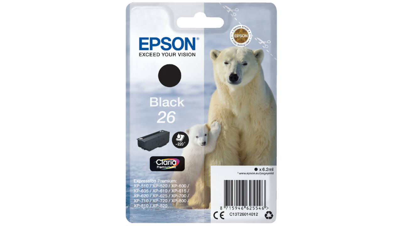 Inktcartridge Epson 26 T2601 zwart