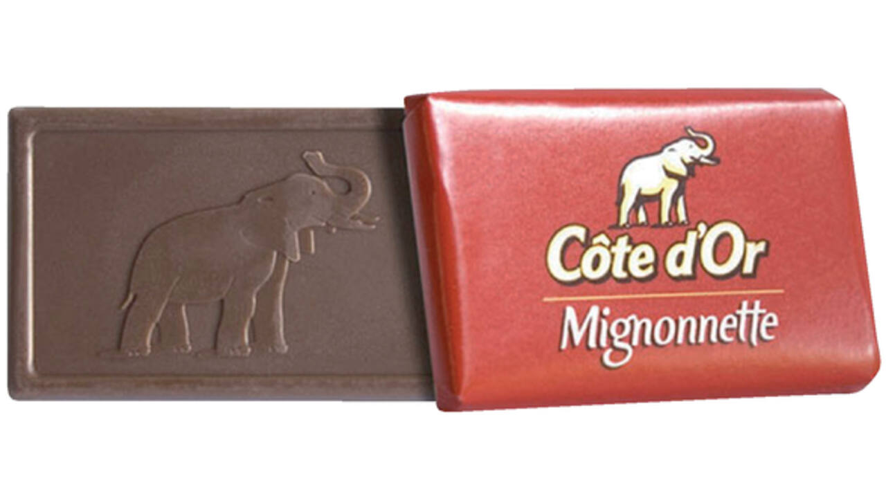 Chocolade Cote d'Or mignonnette melk 120x10 gram