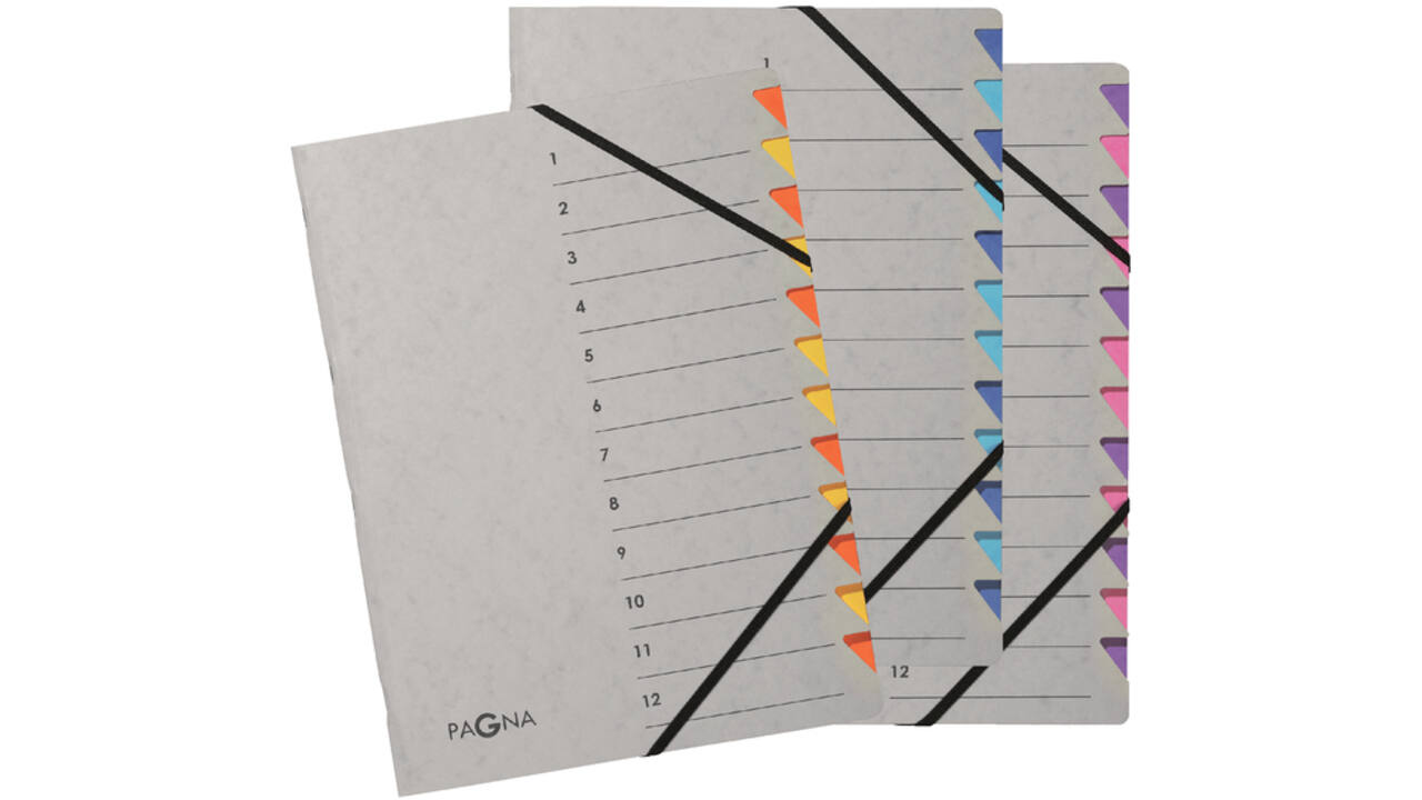 Sorteermap Pagna Easy A4 12 tabs lichtblauw/donkerblauw