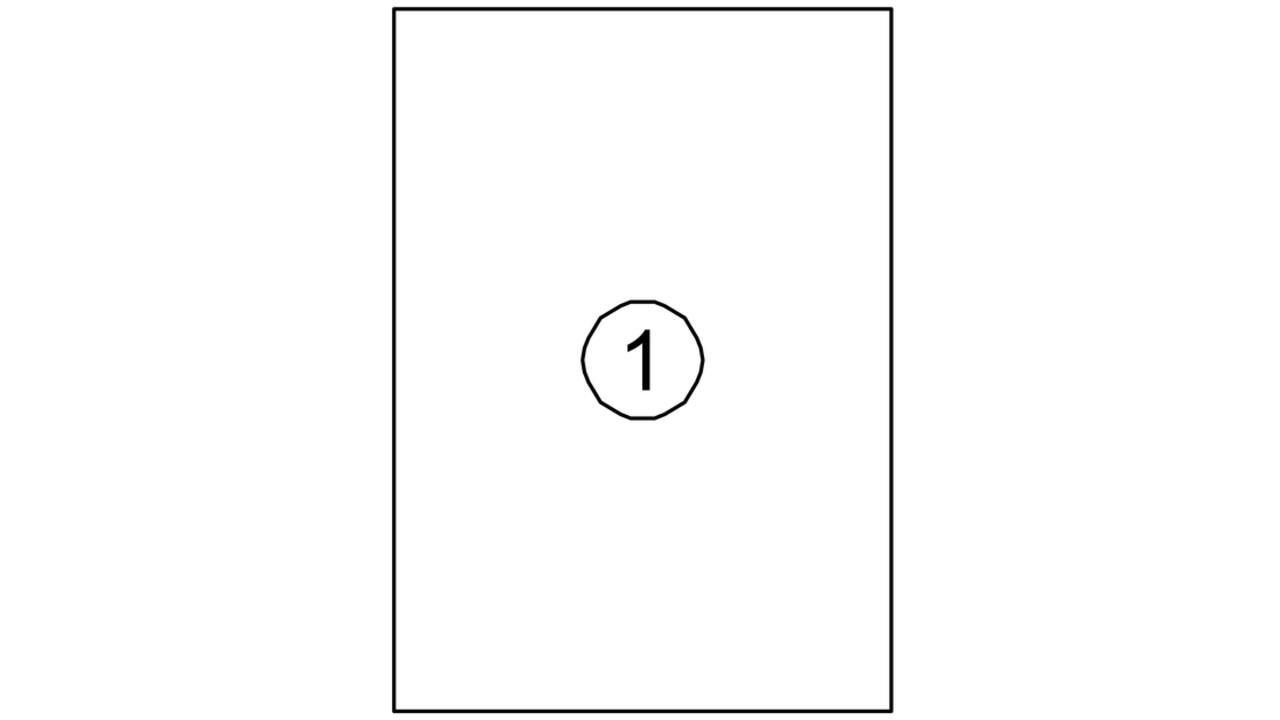 Etiket Quantore 210x297mm 100 stuks